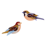 Sparrows