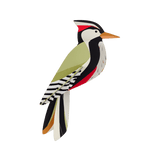 Woodpecker