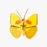 Yellow Butterfly