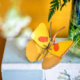 Yellow Butterfly