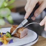 Opinel - 4 couteaux de table n°125 pro 