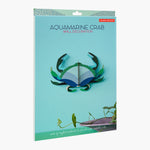Aquamarine Crab - Studio roof