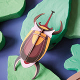 Eléphant Beetle