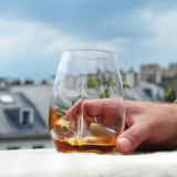 Spirits Explorer Glass