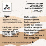 ocni, assaisonnement à tailler, coffret épicurien, piment d'espelette, cèpe, safran