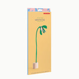 Fleur carton - Mintrose